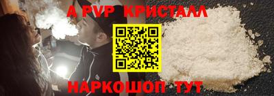 гашик Малгобек